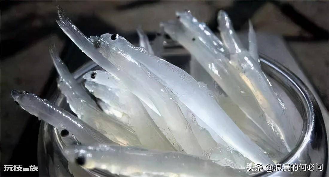 江西30个特色菜介绍(江西省代表家常菜美食及其做法)-图片4